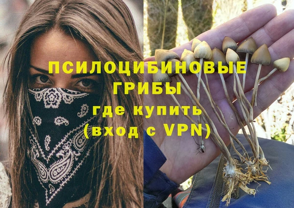 MDMA Premium VHQ Краснослободск