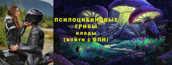 МДПВ Кукмор